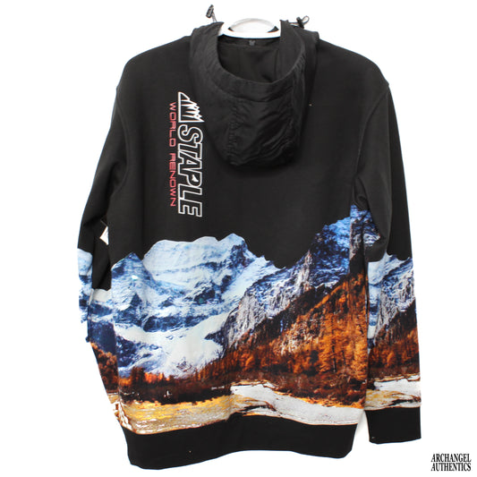 Staple Pigion Quarter Zip Hoodie Mountain