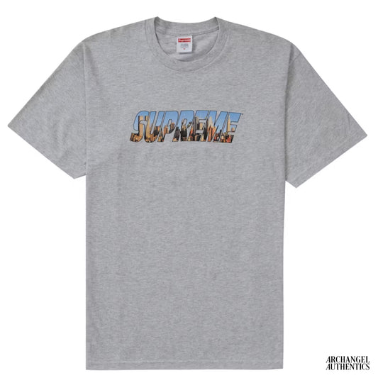 Supreme Gotham Tee FW23 Ash Grey